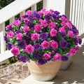 Artificial Faux Outdoor Flowers Plants for Spring Summer Decoration, Fake Silk Camellia UV Resistant Look Real for Planter Outside Front Door Porch Patio Balcony, 3 Large Bundles (Purple+Fuchsia) by HyeFloraartificialflowers