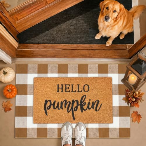 Fall Decor Doormat Combo Set, 100% Coco Coir Welcome Mat + 3' x 5' Coffee and White Plaid Rug - Fall Thanksgiving Front Porch Entryway Decor Floor Mat, Indoor Outdoors Autumn Mats Hello Pumpkin - Image 7