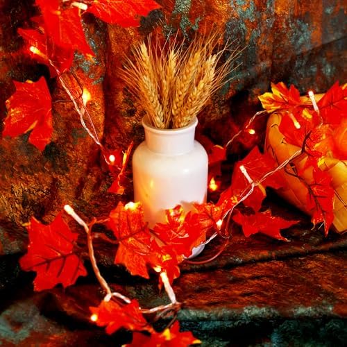 VCOKEN Thanksgiving Decorations Fall Garland with Lights, 24LED Battery Operated Thanksgiving Lights with Timer, Fall Decor for Home, Table, Mantle, Office, Outdoor, Autumn, Halloween, Yellow by VCOKEN