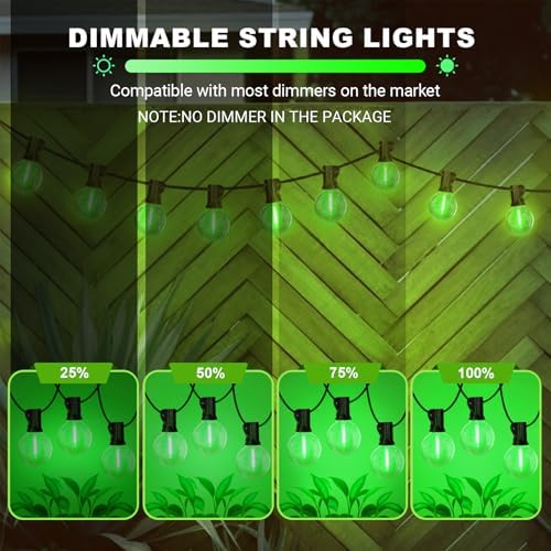 LAMPHOME LED Outdoor String Light, 26Feet Patio Lights with 12+1 Edison Shatterproof Bulbs(1Spare), UL Waterproof Outside Lights connectable Dimmable for Backyard Porch Decor,Green - Image 5