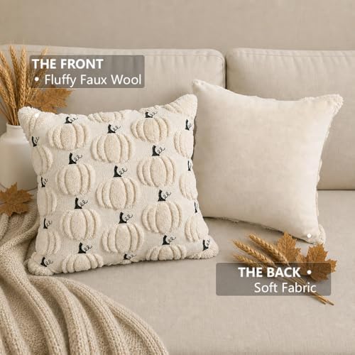 Fall Pumpkin Pillow Covers 18x18 Set of 2 Beige Fall Farmhouse Decor - Image 5