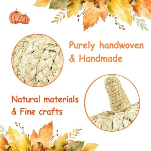 naturevibe 5.3 Inch Braided Cornhusk Pumpkin Decor Set of 6 Fall Home Decor - Image 3
