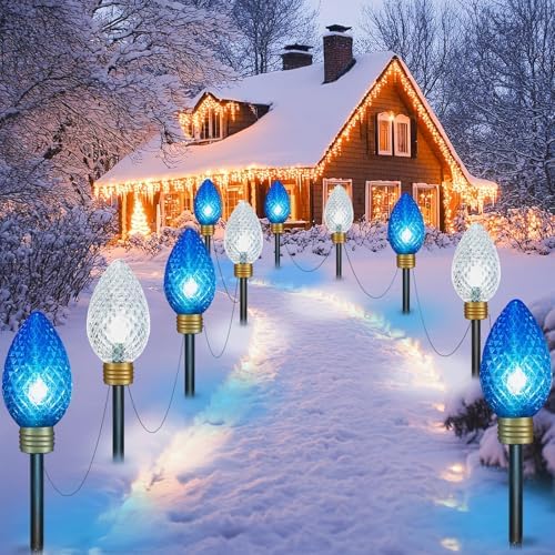 Strawberry Super Jumbo Christmas Lights Outdoor,2 Pack Total 22FT by Moonflor