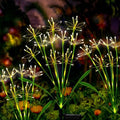 Solar Firework Lights Outdoor 4 Pack Waterproof Garden Decor Warmwhite by Unknown