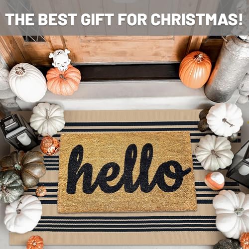 IOHOUZE 3x5 Striped Indoor Outdoor Rug, Washable Front Porch, Black Tan - Image 2