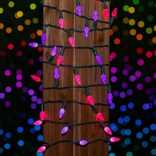 Novelty Lights 24FT 70 LED C6 Valentine's Day String Lights, Pink & Purple - Image 3