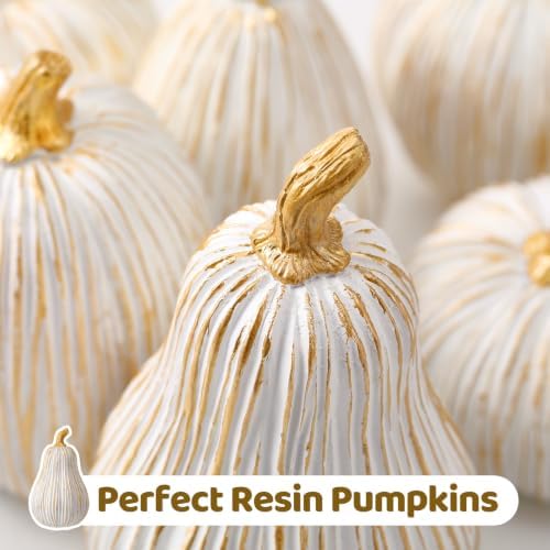 Thyle 6 Pcs Fall Pumpkin Decor, White Gold Pumpkin for Table Centerpieces - Image 3