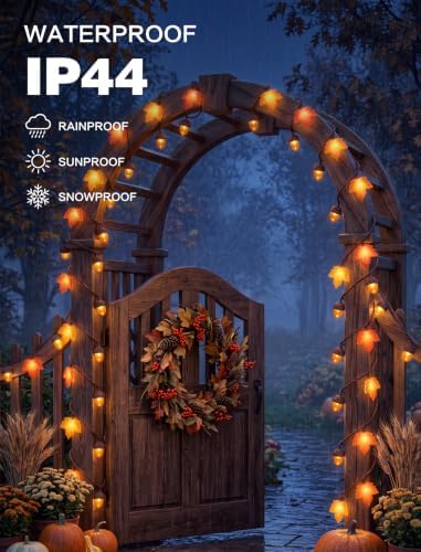 SUNSGNE 12FT Acorn Maple Leaf String Lights, Thanksgiving Fall Decor - Image 3