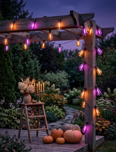25Ft ST38 Halloween Outdoor String Lights with 27 LED Orange Purple Bulbs - Image 3