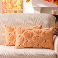 Fall Pillow Covers Pumpkin Fall Decor 12x20 Set of 2 Apricot by Unknown
