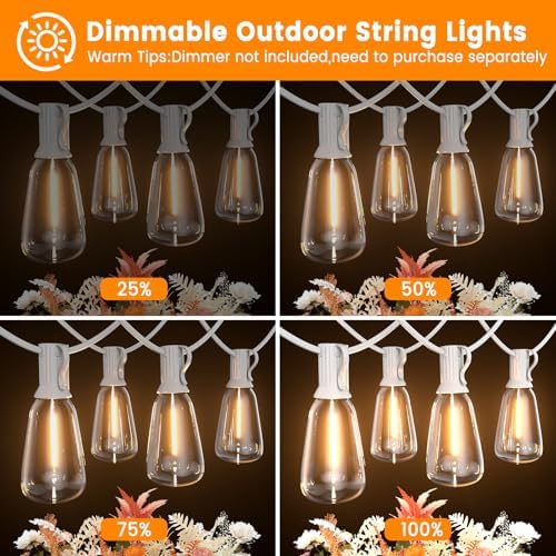 100FT ST38 Outdoor String Lights with 50 1W Plastic Shatterproof Bulbs - Image 2