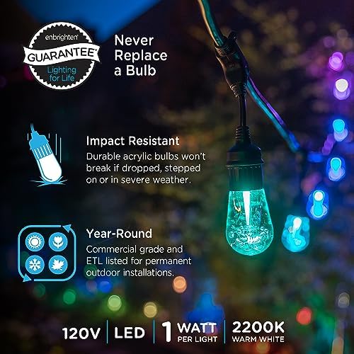 Enbrighten Vintage Outdoor String Lights, 24ft, 12 Bulbs, Remote Control - Image 2