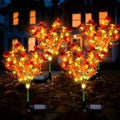 Glooglitter 4 Pack Orange Solar Flower Stake Light Outdoor Garden, Violet by Glooglitter