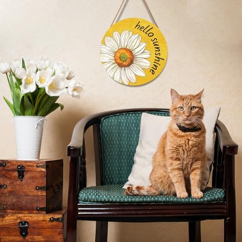 Spring Summer Daisy Flower Front Door Sign Hello Sunshine Floral Wood Door Hanger Outdoor Outside Porch Decor Seasonal Wooden Wreath Farmhouse Indoor Wall Hanging Decoration for House 12"x12" - Image 4