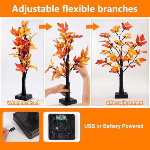 Fall Decor 2 Pack 24 Inch Maple Tree Lights - 48 LED Autumn Decorations with Pumpkins & Acorns, Timer, USB & Battery Powered - Thanksgiving Decorations for Home Table Indoor Fireplace - Image 4