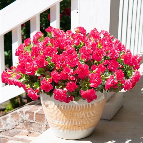 HyeFlora Artificial Faux Outdoor Flowers Plants for Spring Summer Decoration, Fake Silk Hotpink Camellia UV Resistant Look Real for Planter Outside Front Door Porch Patio Balcony, 3 Large Bundles by HyeFloraartificialflowers