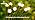 4 Pack Solar Garden Lights Outdoor, 24 LED Firefly Light, Solar Fairy Lights for Outside Waterproof, 2 Modes, Fairy Lightss for Garden Pathway & Patio Decor - Image 7