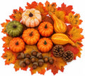 Fall Harvest Decor Set, 50-Piece Autumn Kit with Mini Pumpkin, Gourd, Maple Leaf, Acorn, Pine Cone, Thanksgiving and Halloween by Paviro