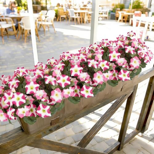 Artificial Flowers for Outdoors, Faux Petunias Spring Summer Decoration, Fake Flowers Plants UV Resistant Look Real Silk Flowers for Outside Planter Front Door Porch Patio Yard (6, Pink-White) - Image 6