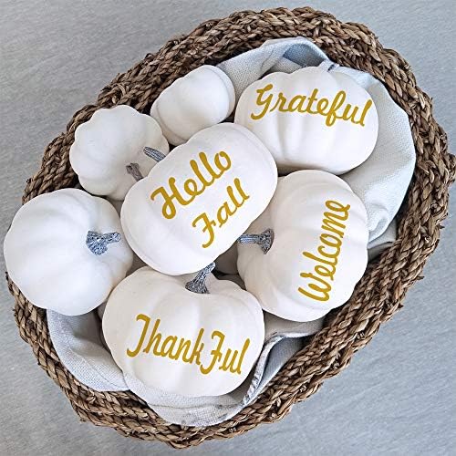 BESTTOYHOME 12 PCS Assorted Sizes Rustic Harvest White Artificial Pumpkins for Halloween, Fall Thanksgiving Decorating Harvest Embellishing and Displaying - Image 2