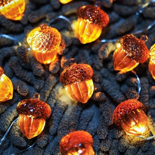 Fall Decoration for home 3D Acorn Lights Thanksgiving Décor Fall Garland Decorative Cute Fairy Lights Outdoor Waterproof Battery Operated Autumn Lights 30LED 10ft Christmas Window Room Decor by ENLACERAY