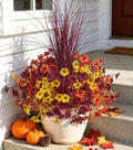 Ivydale Artificial Mums Flowers for Outdoors 12 Pcs + Burgundy Grass by Ivydale