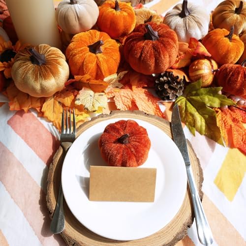 Winlyn Set of 16 Assorted Farmhouse Fall Artificial Velvet Pumpkins Rust Orange Champagne Gold Decorative Fabric Foam Pumpkins for Autumn Home Wedding Thanksgiving Halloween Harvest Table Centerpiece - Image 4
