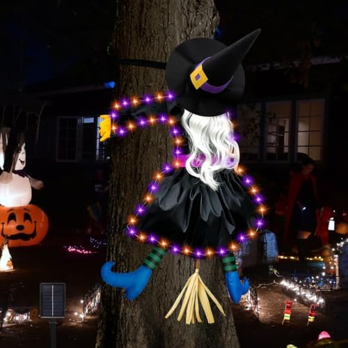 Halloween Decorations Outdoor, Solar Witch, Silver Hair by ILLUMINEW