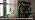 25FT G40 LED Green String Lights Outdoor with 27 Shatterproof Globe Bulbs - Image 7