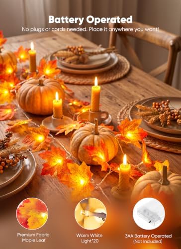 Brightown 2 Pack Fall Garland with Lights Total 20Ft 40LED Fall Decor - Image 5