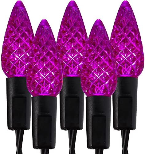 WATERGLIDE Halloween C6 String Lights, 33ft 100 LED Black Wire Fairy Lights with 29V Safe Adaptor, 8 Lighting Mode, Waterproof for Indoor Outdoor Patio Xmas Tree Party Decor, Purple by WATERGLIDE