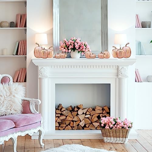 Winlyn 10 Pcs Assorted Artificial Gold Brushed Pink Pumpkins Rustic Decorative Pumpkins Foam Pumpkins for Farmhouse Fall Wedding Baby Shower Halloween Tabletop Centerpiece Mantel Decoration - Image 5