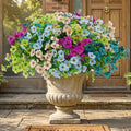 Artificial Flowers for Outdoor Decor, 16 Pack UV-Resistant Fake Colorful Silk Daisy Flowers, Perfect for Spring & Summer Decorating – Front Porch, Patio, Window Boxes, and Potted Plants by Unknown