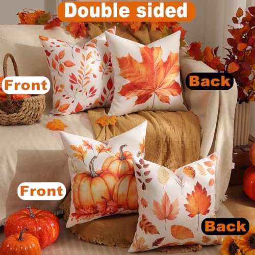 TOYPOPOR Fall Decorations for Home, Double Sided Throw Pillow Covers 16x16 Set of 4 Outdoor Indoor Fall Decor Pumpkin Fallen Leaves Autumn Thanksgiving Throw Pillow Cover for Living Room Bedroom Couch - Image 4