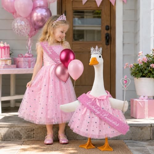 5 Pcs Birthday Princess Porch Goose Outfit with Balloon for Outdoor Decor - Image 4