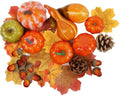 winemana Fall Decorations for Home Mini Pumpkins Gourds & Leaves Set by winemana