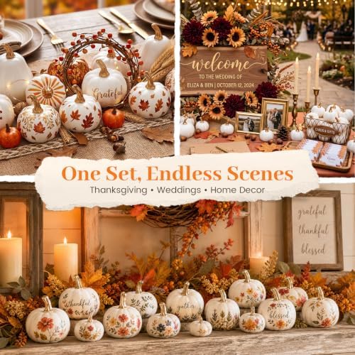 DomeStar 18 PCS White Pumpkins for Decoration, Small White Pumpkins - Image 6