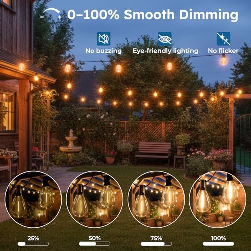 GvvooHome 100FT S11 LED Outdoor String Lights with App & Remote, Low-Voltage Patio Lights with Music Sync, 4 Lighting Modes, Dimmable, Waterproof LED Lights for Backyard, Porch, Garden, Deck, Party - Image 4