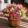 Artificial Outdoor Flowers UV Resistant Fake Plants Greenery 12 Bundles Faux Silk Daisy with Eucalyptus Leaves Summer Outdoor Memorial Day Decor for Porch Patio Yard Garden, Mixed 6 Colors by Unknown