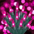 Hopolon Purple Halloween String Lights,2PACK Total 100Count 26FT,Green Wire by Hopolon