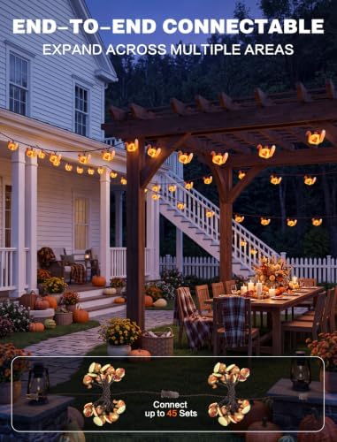SUNSGNE Thanksgiving Turkey String Lights, 12FT 20 LED Fall Decor Lights - Image 4