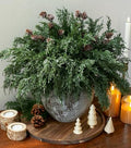 Faux Cedar Stems Artificial Norfolk Pine Branches for Christmas Decor, 12 PCS Fake Pine Stems with 2 PCS Pine Cones Branches Real Touch Realistic Faux Greenery for Vases DIY Garland Xmas Table Indoor by Ivydale