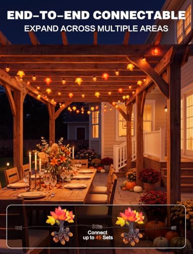 SUNSGNE 12FT Acorn Maple Leaf String Lights, Thanksgiving Fall Decor - Image 4