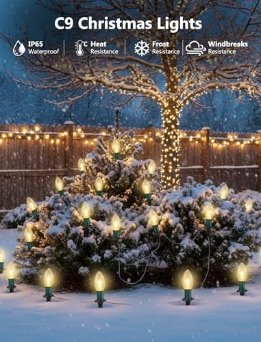 Christmas Pathway Lights Outdoor,38FT 25 Pcs Warm White Extendable Waterproof Walkway Lights with C9 Clear Bulbs and Stakes for Outdoor Yard Porch Driveway Backyard Christmas Decorations - Image 3