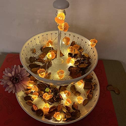 3D Twinkle Acorn Fall Decorations Harvest String Lights 10ft Copper Wire 30 LEDs Battery Powered with Timer Remote Control for Wedding Bedroom Fireplace Mantel Ice Age Ornaments Home Decor - Image 4