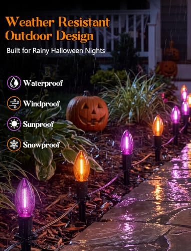 19.5Ft 10 LED C9 Orange and Purple Halloween Pathway Stakes Lights Outdoor - Image 5