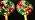 Ganeen 25.6" Lollipop Christmas Pathway Lights Outdoor,Blue - Image 7
