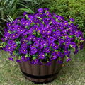 Artificial Faux Flowers for Outdoor 16 Bundles Fake Morning Glory,Purple by Nigirior