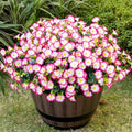 Artificial Faux Flowers for Outdoor 16 Bundles Fake Morning Glory,Pink by Nigirior