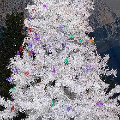 Novelty Lights 24FT 70 LED C6 Outdoor Rainbow Christmas String Lights - Image 4